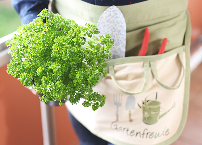 pesto_rezept-2