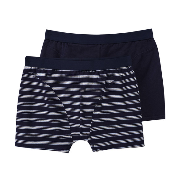 2 Jungen Boxer