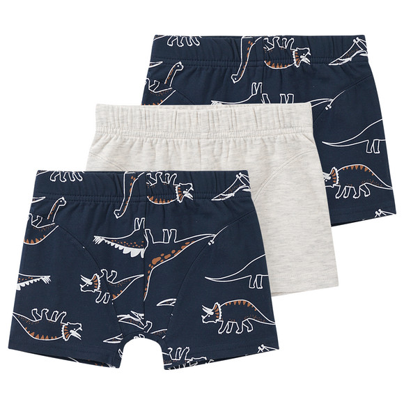 3 Jungen Boxer mit Dino-Motiven