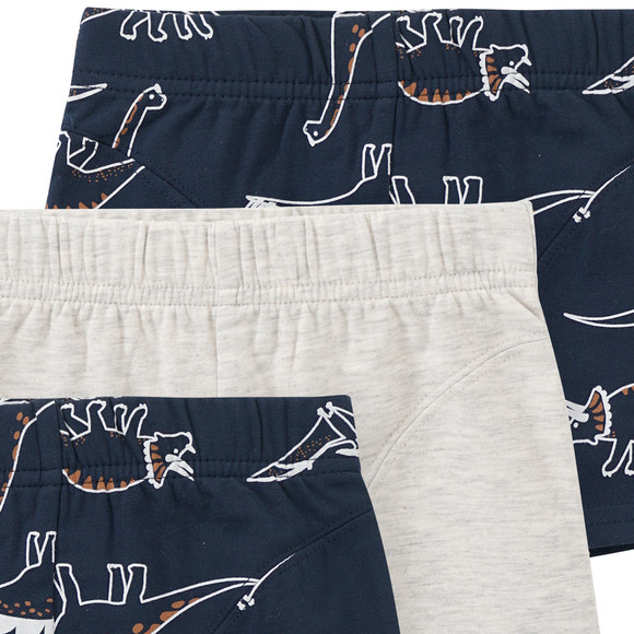 3 Jungen Boxer mit Dino-Motiven
