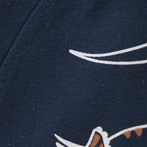 3 Jungen Boxer mit Dino-Motiven