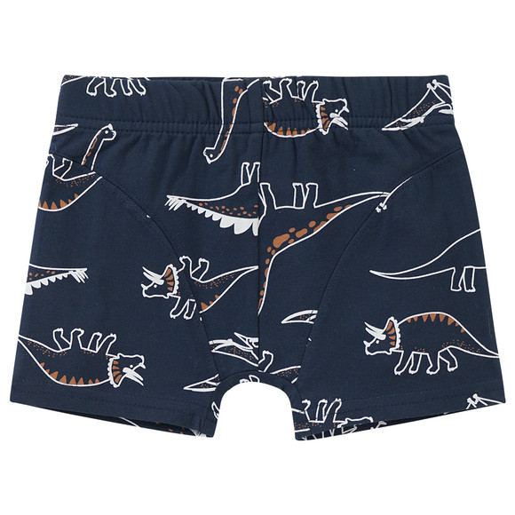 3 Jungen Boxer mit Dino-Motiven