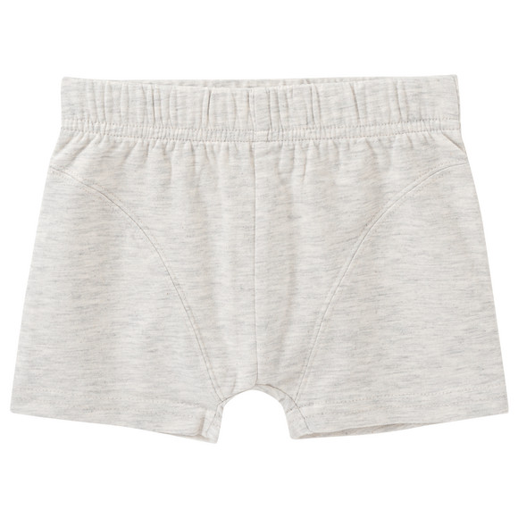 3 Jungen Boxer mit Dino-Motiven