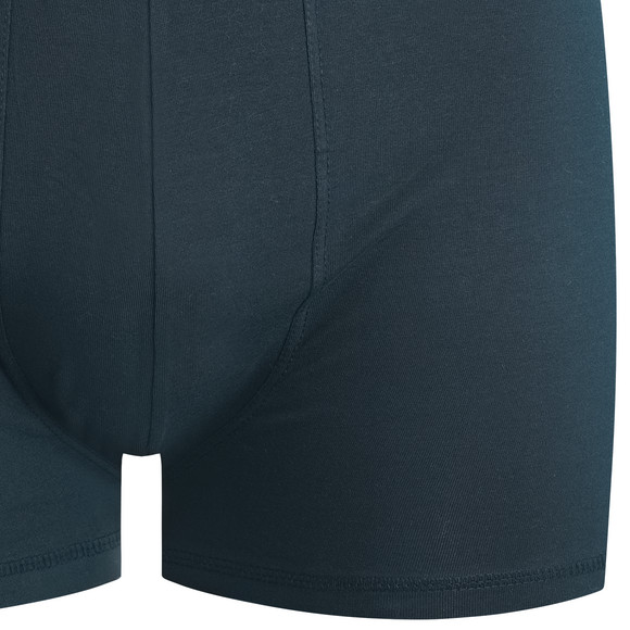 Herren Retroshorts mit Webbund