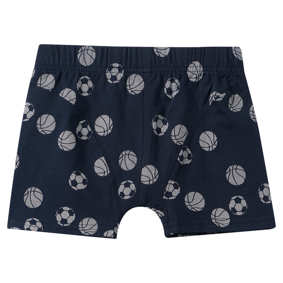 3 Jungen Boxer in verschiedenen Dessins
