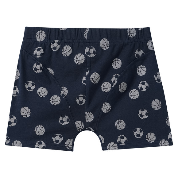 3 Jungen Boxer in verschiedenen Dessins