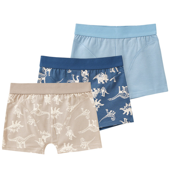 3 Jungen Boxer mit Dino-Motiven
