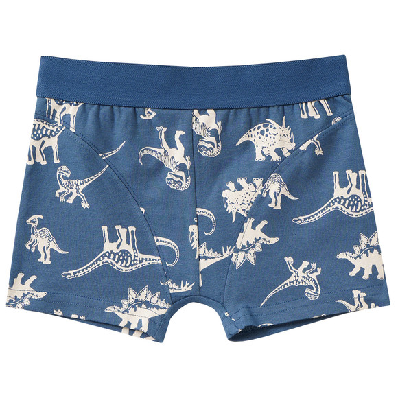 3 Jungen Boxer mit Dino-Motiven