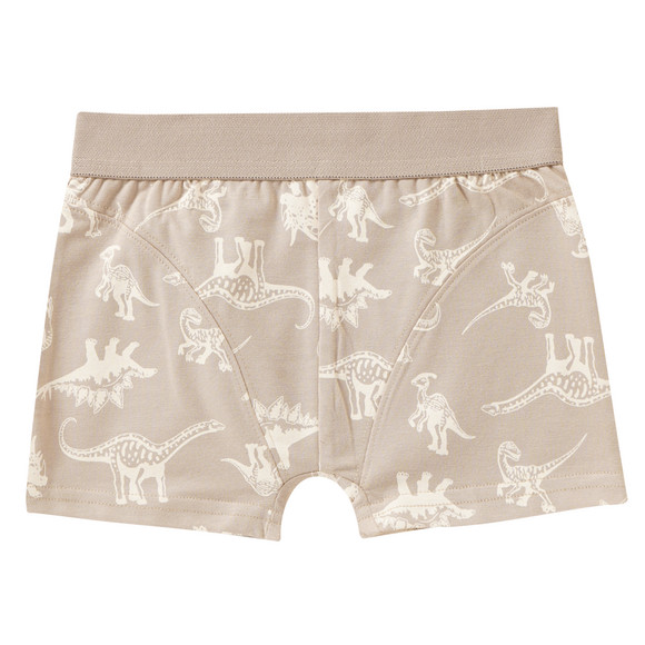 3 Jungen Boxer mit Dino-Motiven