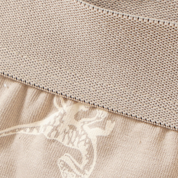 3 Jungen Boxer mit Dino-Motiven