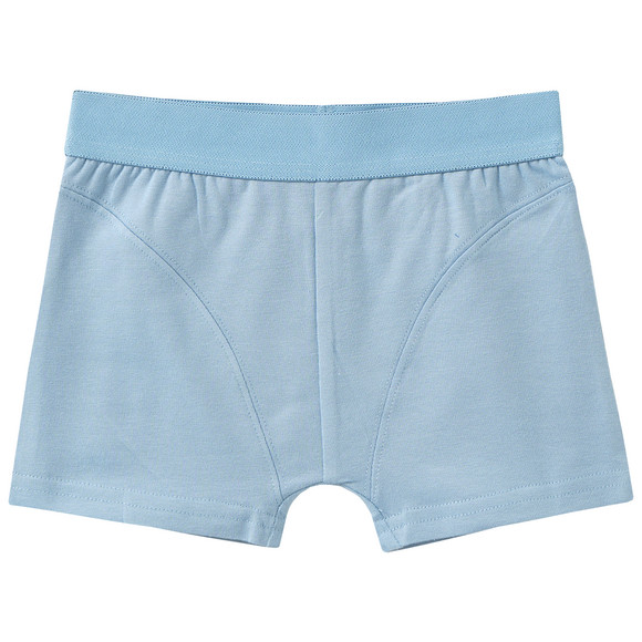 3 Jungen Boxer mit Dino-Motiven