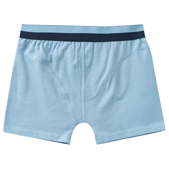 3 Jungen Boxer im Set