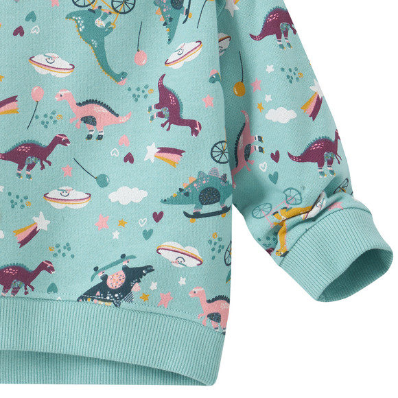Baby Sweatshirt mit Dino-Allover