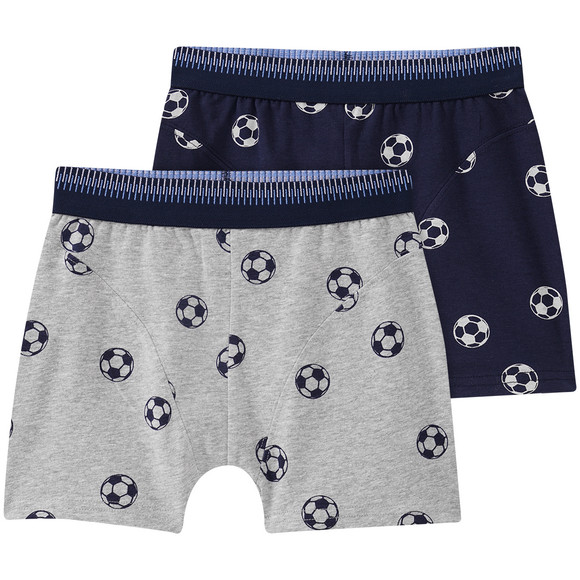 2 Jungen Boxer