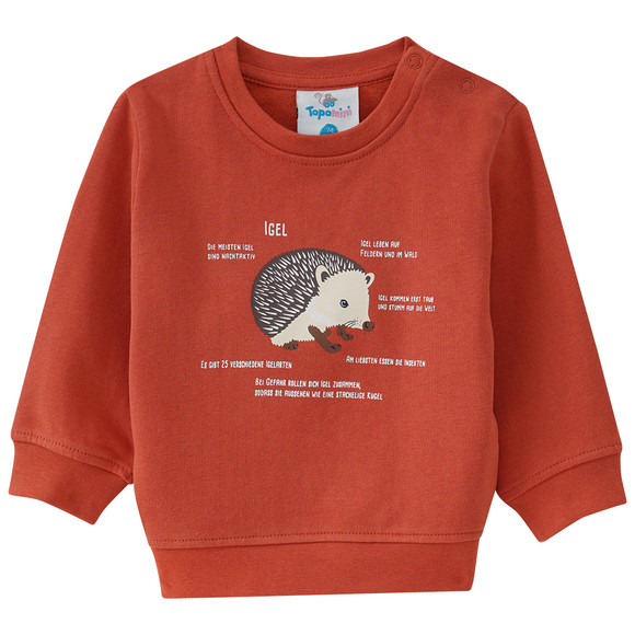baby-sweatshirt-mit-igel-motiv-orange.html