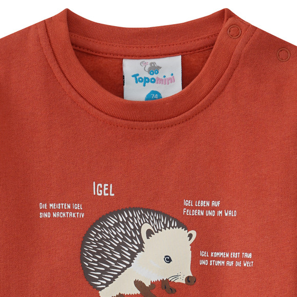 Baby Sweatshirt mit Igel-Motiv