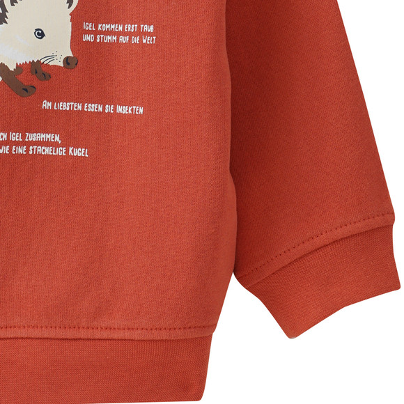Baby Sweatshirt mit Igel-Motiv
