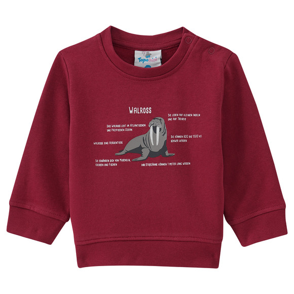 baby-sweatshirt-mit-walross-motiv-dunkelrot.html