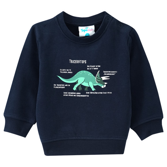 baby-sweatshirt-mit-triceratops-dunkelblau.html