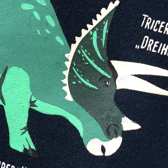 Kinder Sweatshirt mit Triceratops-Motiv