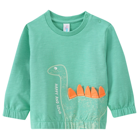 Baby Sweatshirt mit Dino-Applikation
