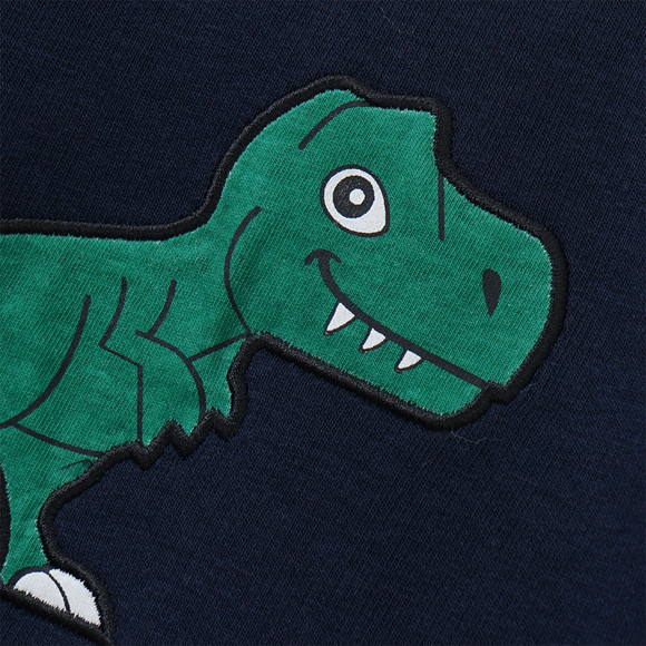 Baby Sweatshirt mit Dino-Applikation