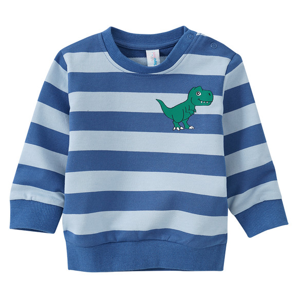 baby-sweatshirt-mit-blockstreifen-blau.html