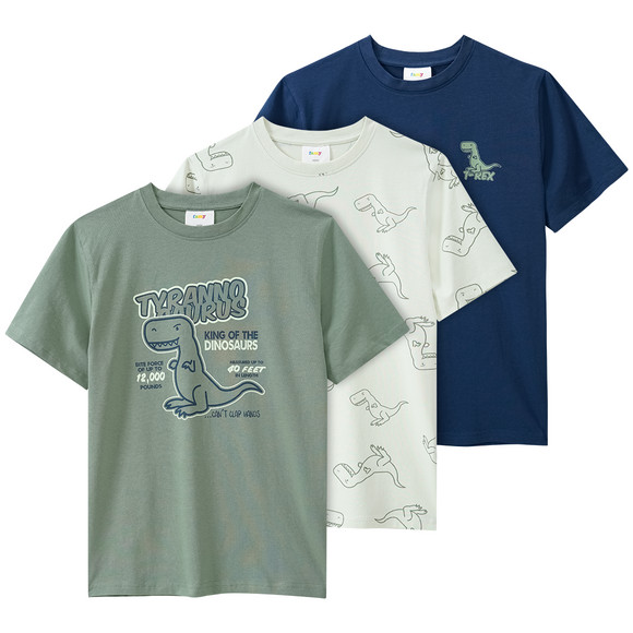 3-jungen-t-shirts-mit-dino-prints-salbei.html