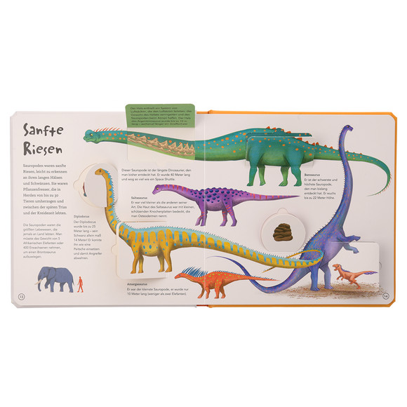 Klappenbuch Dinosaurier mit über 60 Klappen
