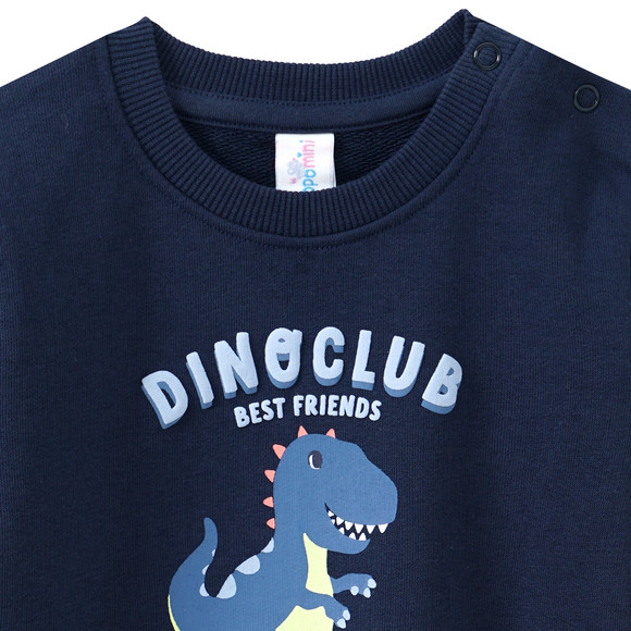 Baby Sweatshirt mit Dino-Print