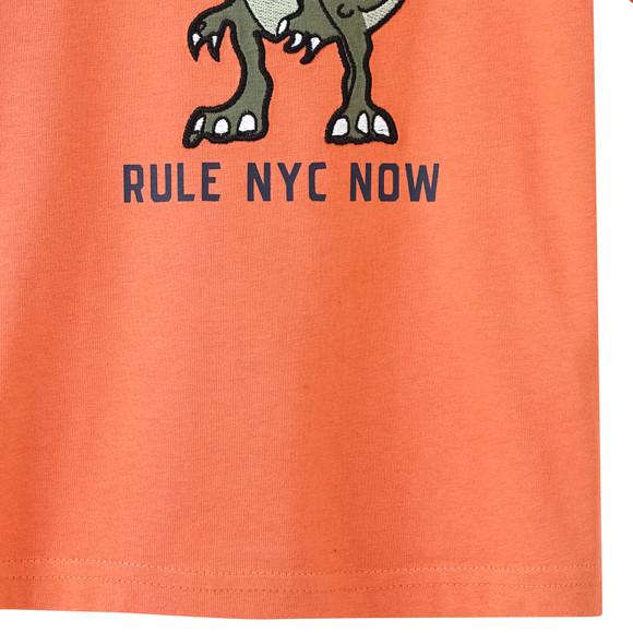 Jungen T-Shirt mit Dino-Motiv