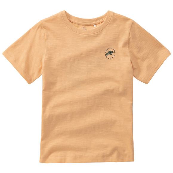 Jungen T-Shirt mit Dino-Print