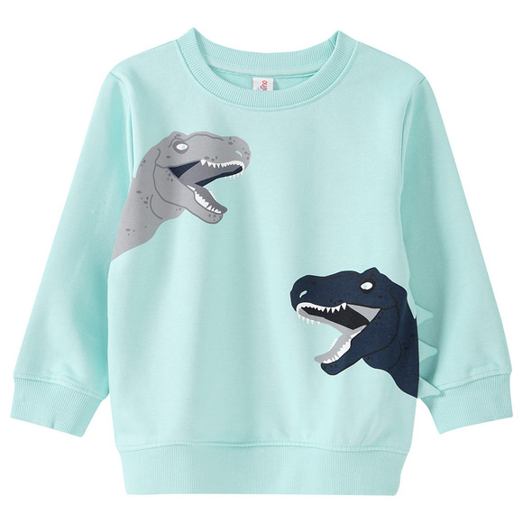 Jungen Sweatshirt mit Dino-Prints