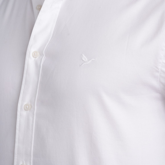 Herren Hemd in Regular Fit