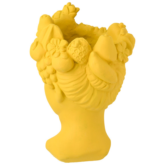 Blumentopf mit Früchten Ernsting's family