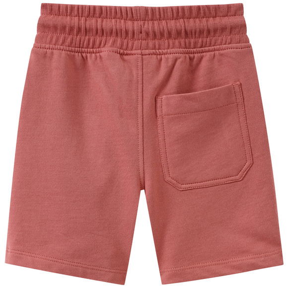 De Leeuwenkoning joggingshort met print