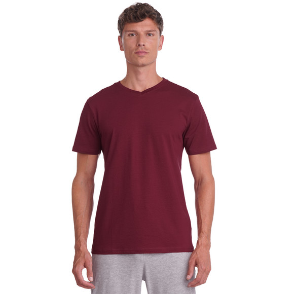 2 Herren T-Shirts mit V-Ausschnitt