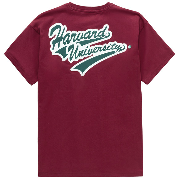 Jongens T-shirt Harvard donkerrood
