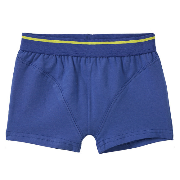 3 Jungen Boxer in verschiedenen Dessins