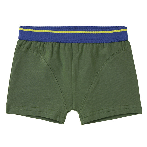 3 Jungen Boxer in verschiedenen Dessins