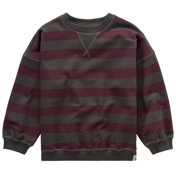 Jungen Sweatshirt aus Bio-Baumwolle