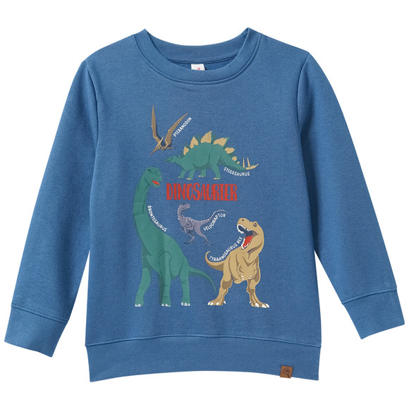 Kinder Sweatshirt mit Dinosaurier-Prints