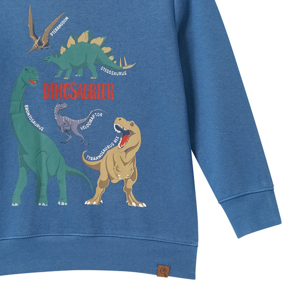 Kinder Sweatshirt mit Dinosaurier-Prints