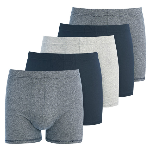 5 Herren Boxer mit Bio-Baumwolle