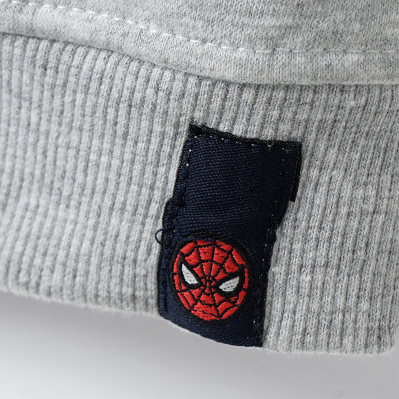 Spider-Man sweatshirt met print