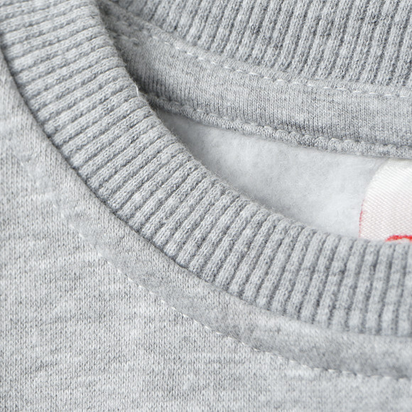 Spider-Man sweatshirt met print