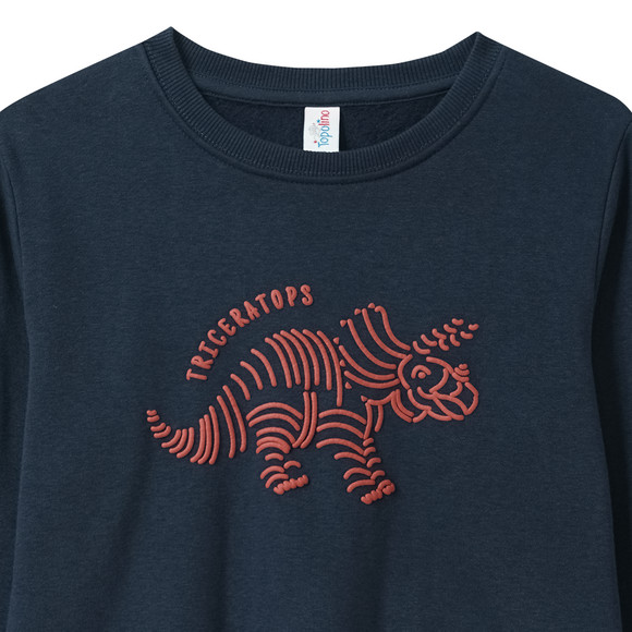 Sweater voor jongens met dinomotief