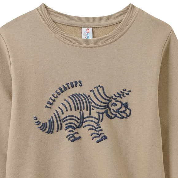 Jungen Sweatshirt mit Dino-Motiv