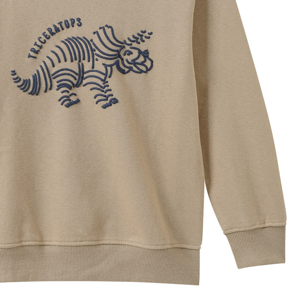 Jungen Sweatshirt mit Dino-Motiv