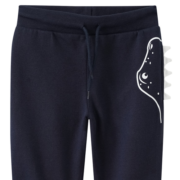 Jungen Jogginghose mit Dino-Print
